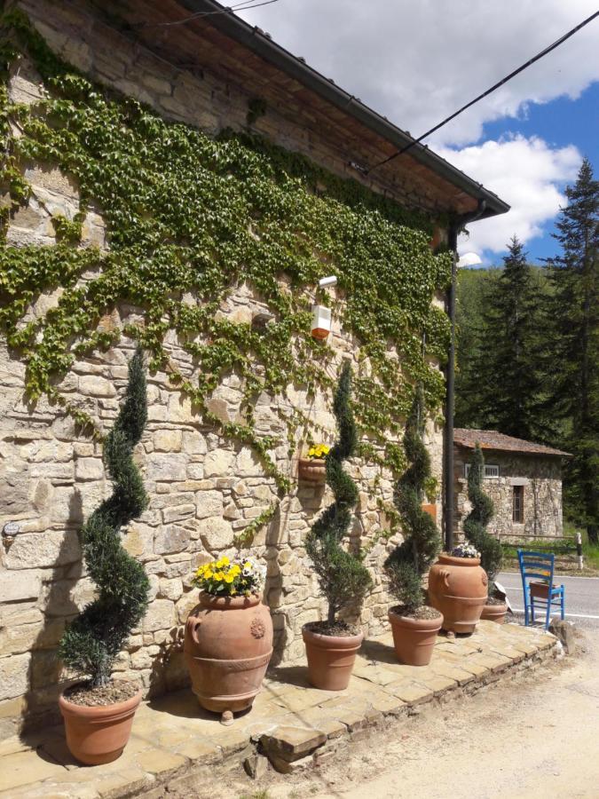 La Fiaba Vendégház Castellina in Chianti Kültér fotó